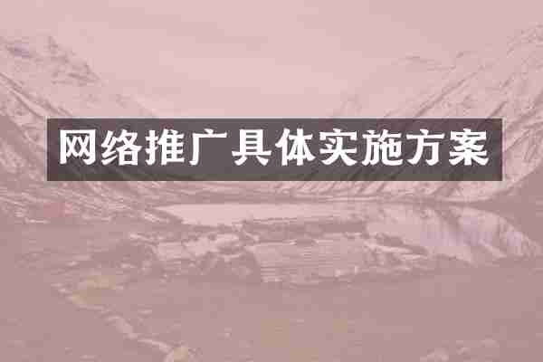 网络推广具体实施方案