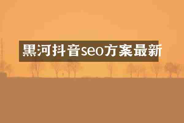 黑河抖音seo方案最新