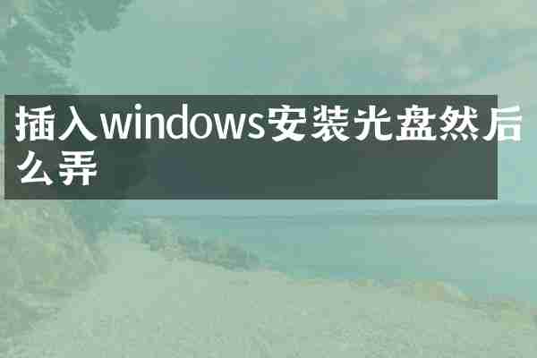 插入windows安装光盘然后怎么弄