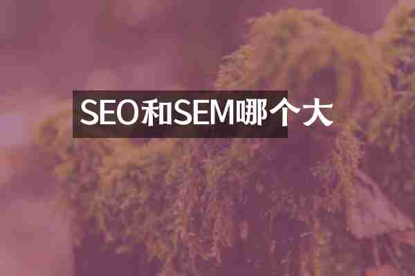 SEO和SEM哪个大