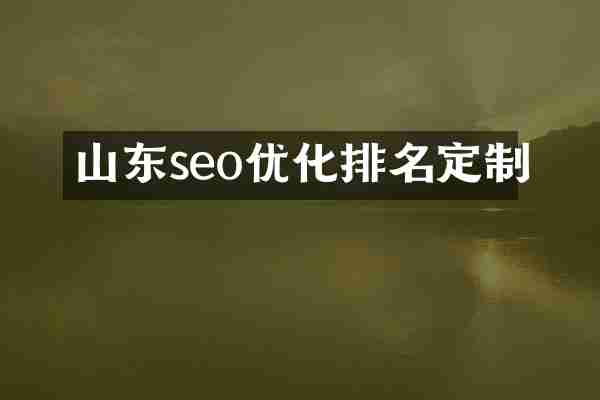 山东seo优化排名定制