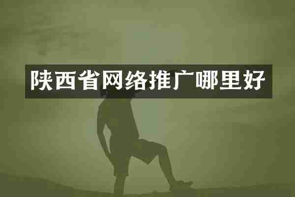 陕西省网络推广哪里好