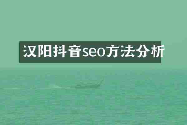 汉阳抖音seo方法分析