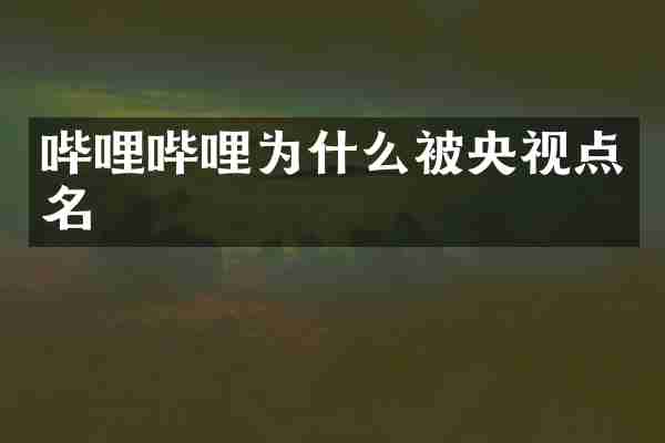 哔哩哔哩为什么被央视点名