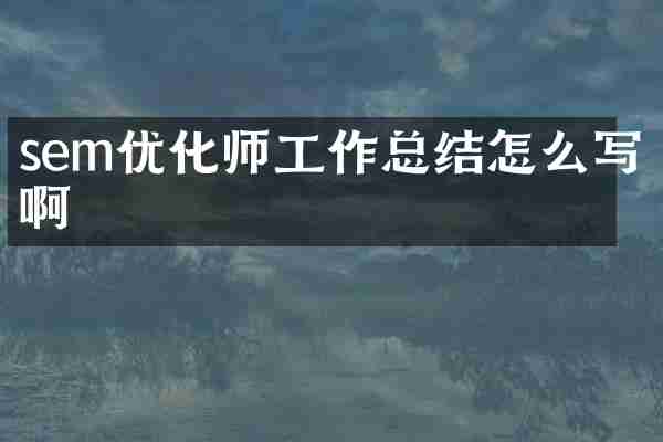 sem优化师工作总结怎么写啊