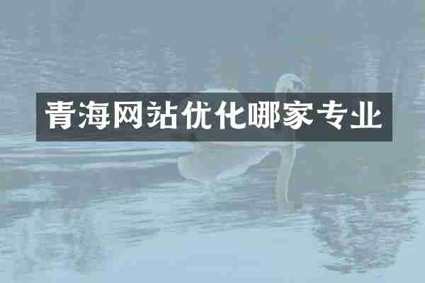 青海网站优化哪家专业