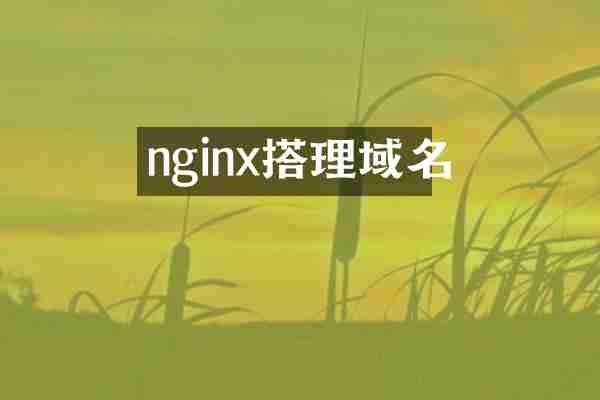 nginx搭理域名