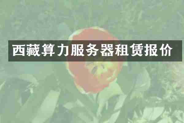 西藏算力服务器租赁报价