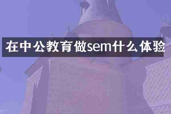在中公教育做sem什么体验