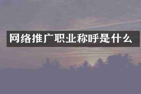 网络推广职业称呼是什么