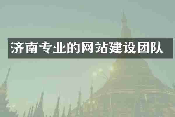 济南专业的网站建设团队