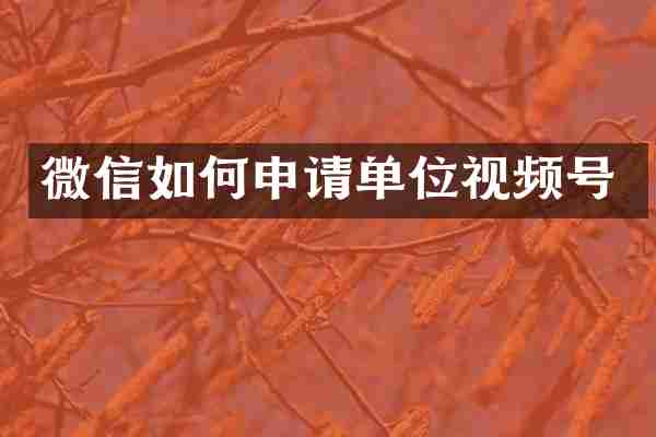 微信如何申请单位视频号