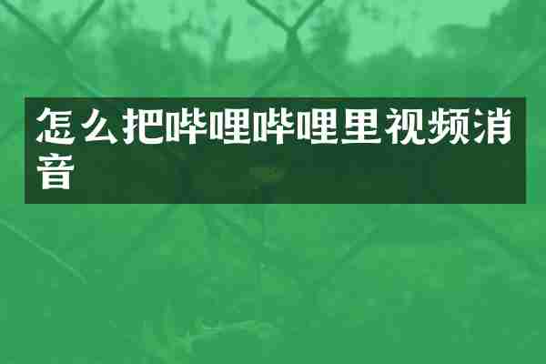 怎么把哔哩哔哩里视频消音