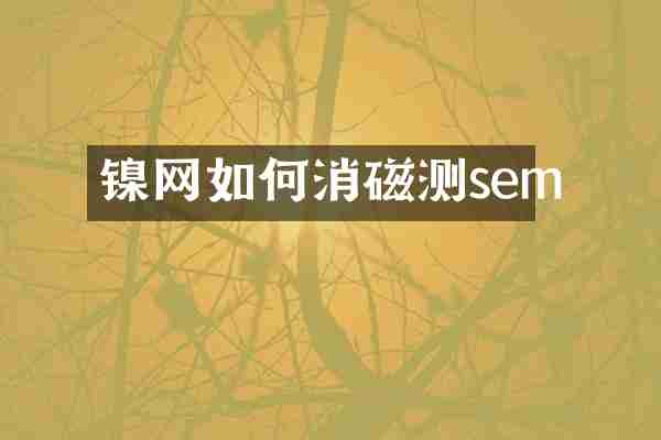 镍网如何消磁测sem