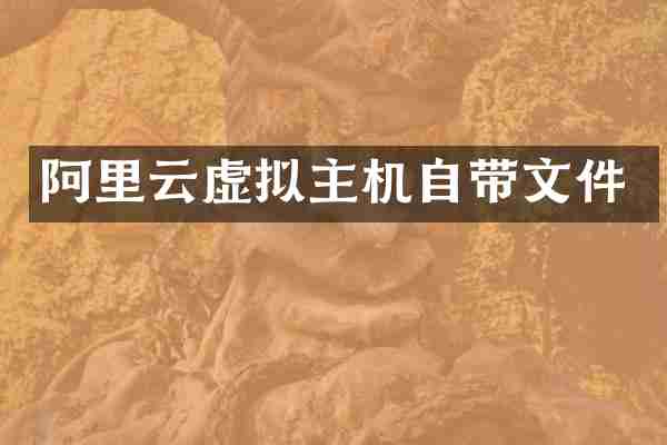 阿里云虚拟主机自带文件