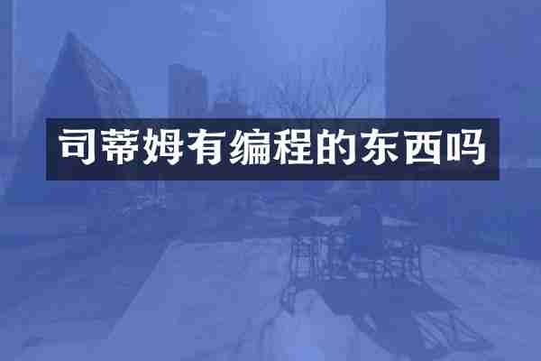 司蒂姆有编程的东西吗