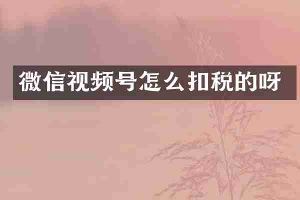 微信视频号怎么扣税的呀