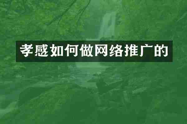 孝感如何做网络推广的