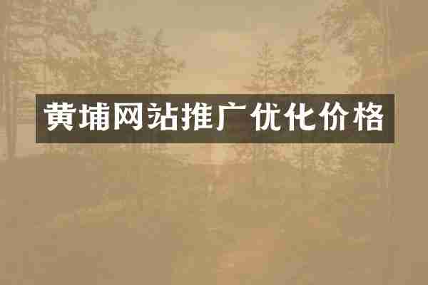 黄埔网站推广优化价格