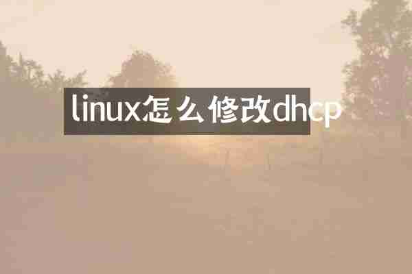 linux怎么修改dhcp