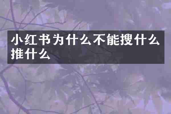 小红书为什么不能搜什么推什么