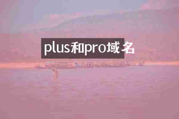 plus和pro域名