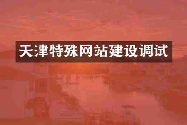 天津特殊网站建设调试