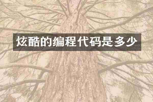 炫酷的编程代码是多少