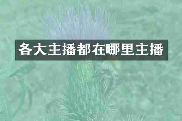 各大主播都在哪里主播