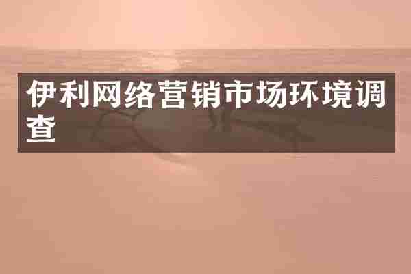 伊利网络营销市场环境调查
