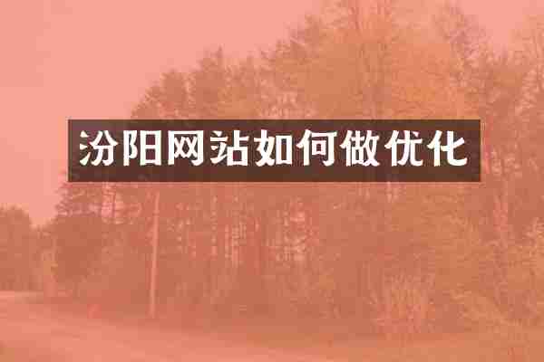汾阳网站如何做优化