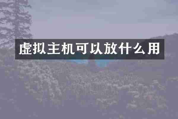虚拟主机可以放什么用