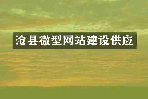 沧县微型网站建设供应