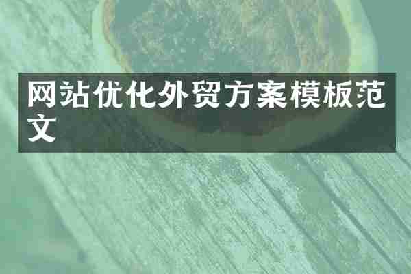 网站优化外贸方案模板范文