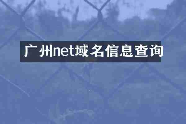 广州net域名信息查询