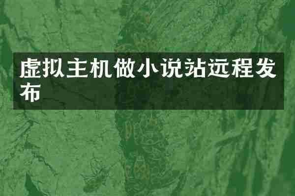 虚拟主机做小说站远程发布