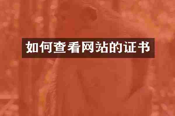 如何查看网站的证书