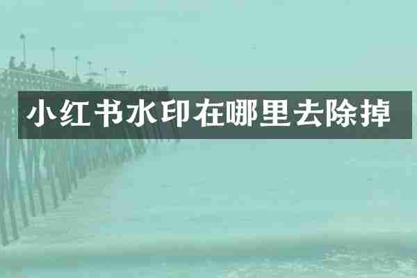 小红书水印在哪里去除掉