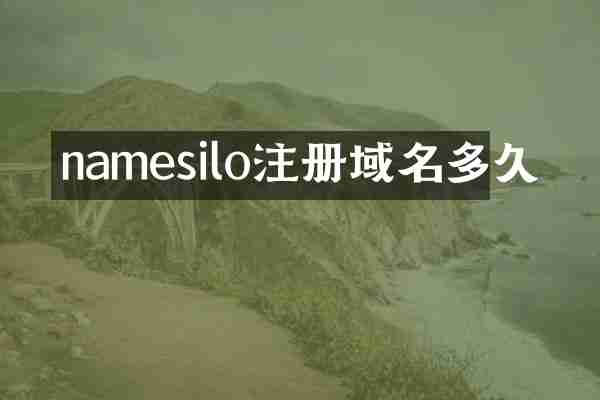 namesilo注册域名多久