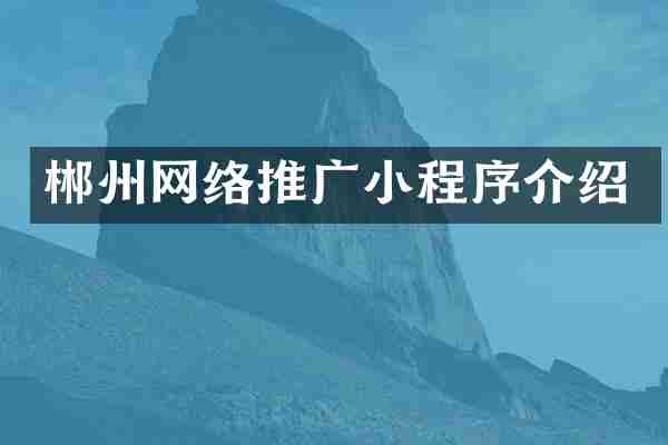 郴州网络推广小程序介绍