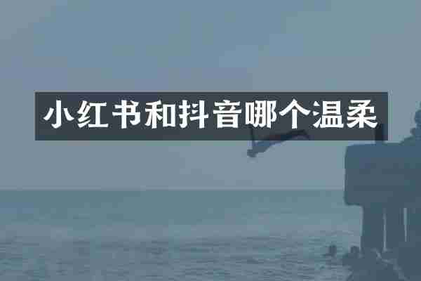 小红书和抖音哪个温柔