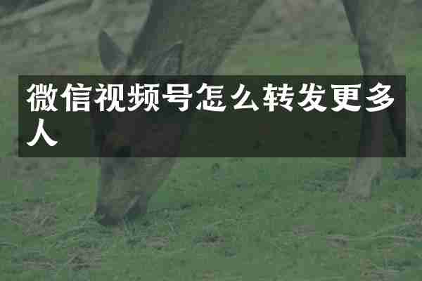 微信视频号怎么转发更多人