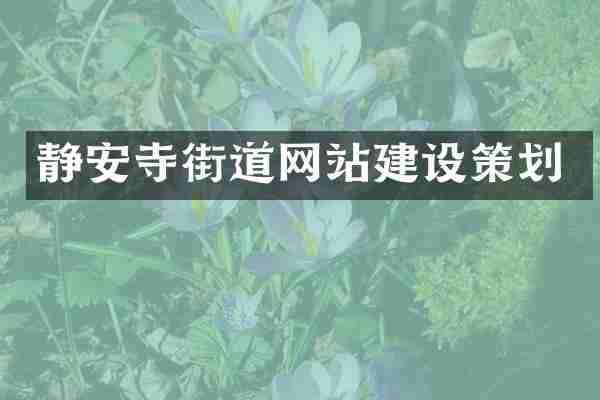 静安寺街道网站建设策划