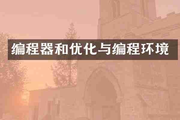 编程器和优化与编程环境