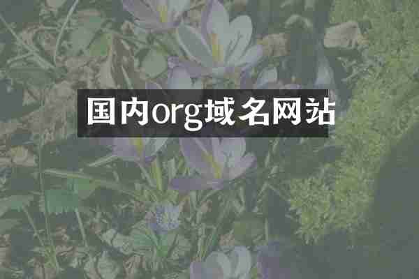 国内org域名网站
