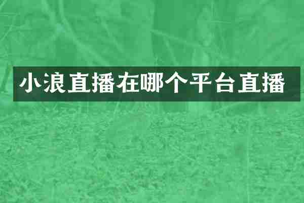 小浪直播在哪个平台直播