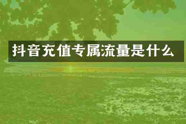 抖音充值专属流量是什么