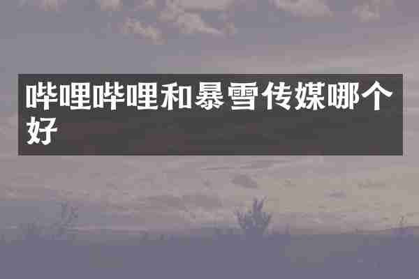 哔哩哔哩和暴雪传媒哪个好