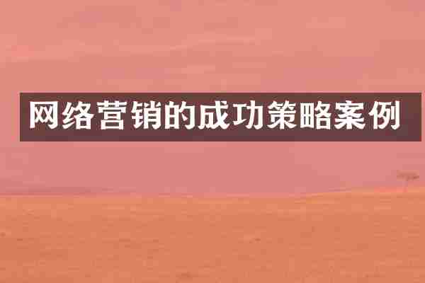 网络营销的成功策略案例