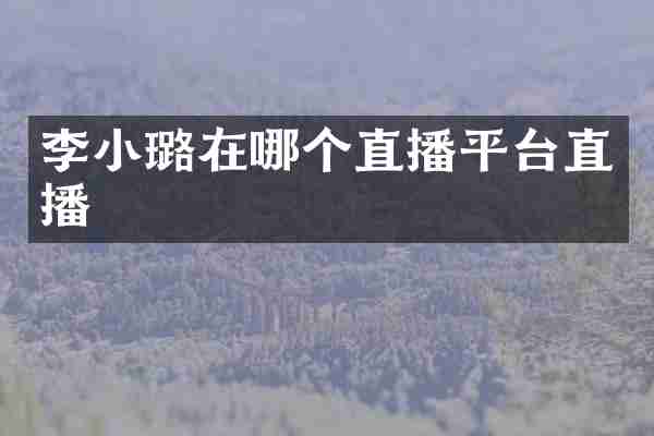 李小璐在哪个直播平台直播